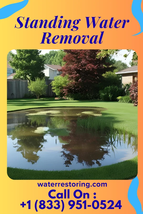 Standing Water Removal in Hastings, IA